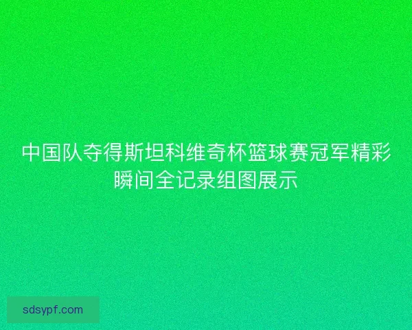 中国队夺得斯坦科维奇杯篮球赛冠军精彩瞬间全记录组图展示