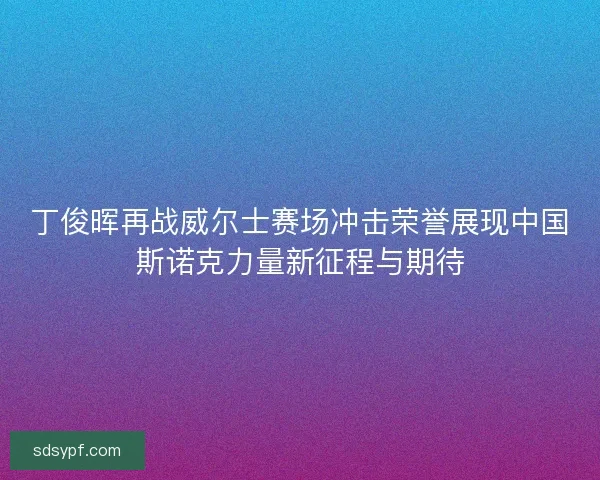 丁俊晖再战威尔士赛场冲击荣誉展现中国斯诺克力量新征程与期待