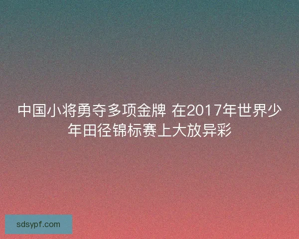 中国小将勇夺多项金牌 在2017年世界少年田径锦标赛上大放异彩