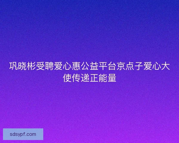 巩晓彬受聘爱心惠公益平台京点子爱心大使传递正能量